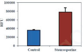 BBI細(xì)胞組學(xué)產(chǎn)品秋冬促銷(xiāo)火熱開(kāi)啟，放開(kāi)價(jià)勢(shì)無(wú)需再等